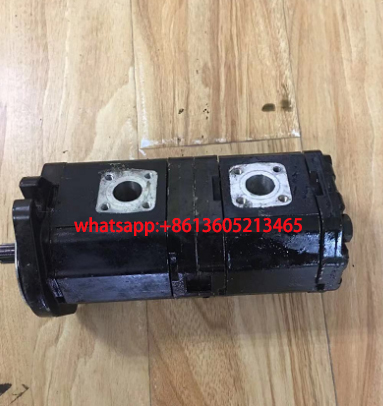 SP250进口铣刨机双联齿轮泵